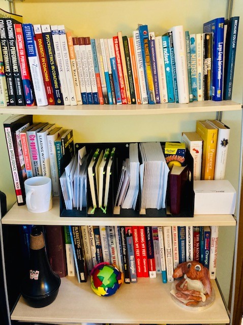 picture of a book shelf with books